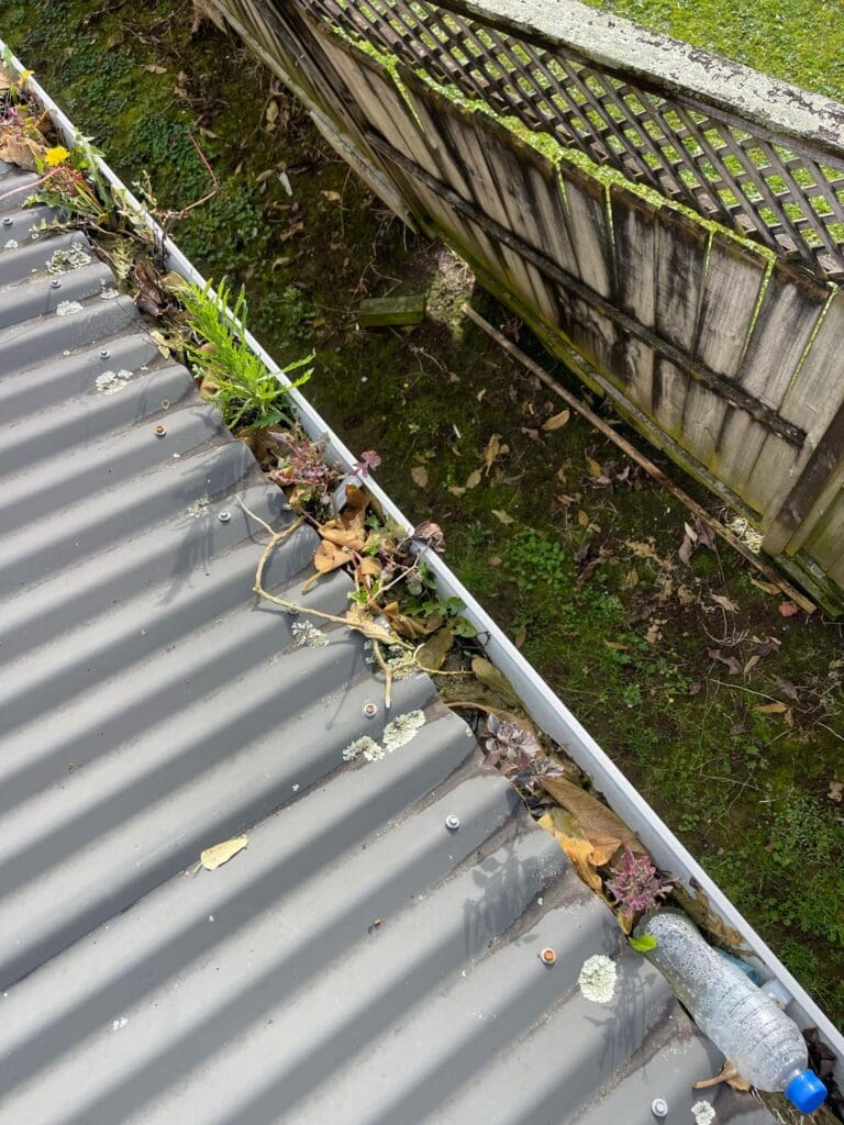 Leaves, bottles inside a gutter